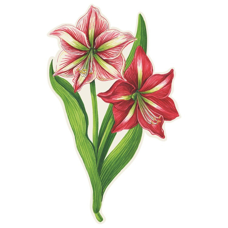 Amaryllis table accent featuring a floral botanical print on an oval silhouette with approximate dimensions of 5.5 by 9.1 inches.