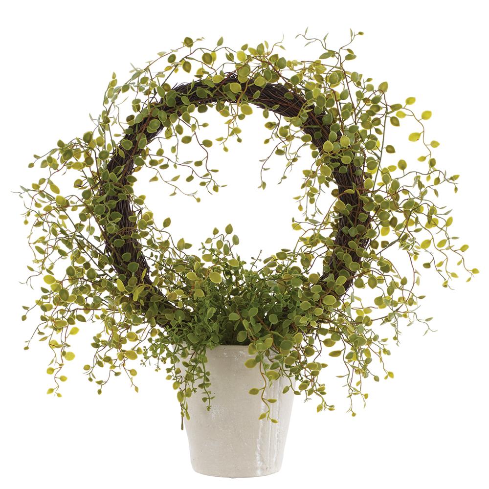 21 Inch Soft PE Muehlenbeckia Wire in Cement Pot Green