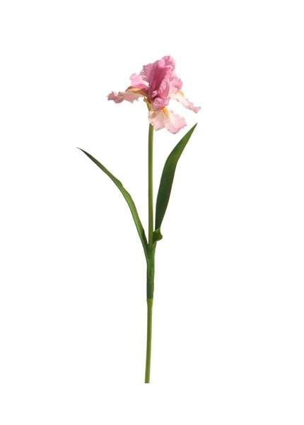 A single artificial pink iris stem with green leaves, measuring 30.5 inches tall.