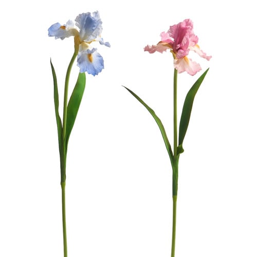 Two 30.5-inch artificial iris stems, one blue and one pink, with realistic foam and fabric petals.