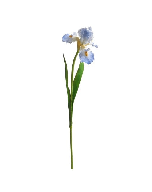 A 30.5-inch artificial iris stem with light blue, real-touch foam and polyester petals.