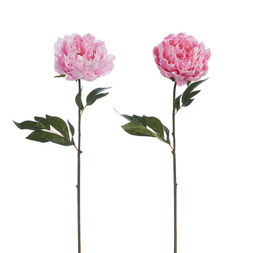 Two 25-inch artificial pink peony stems with realistic foam and polyester blooms and green leaves.
