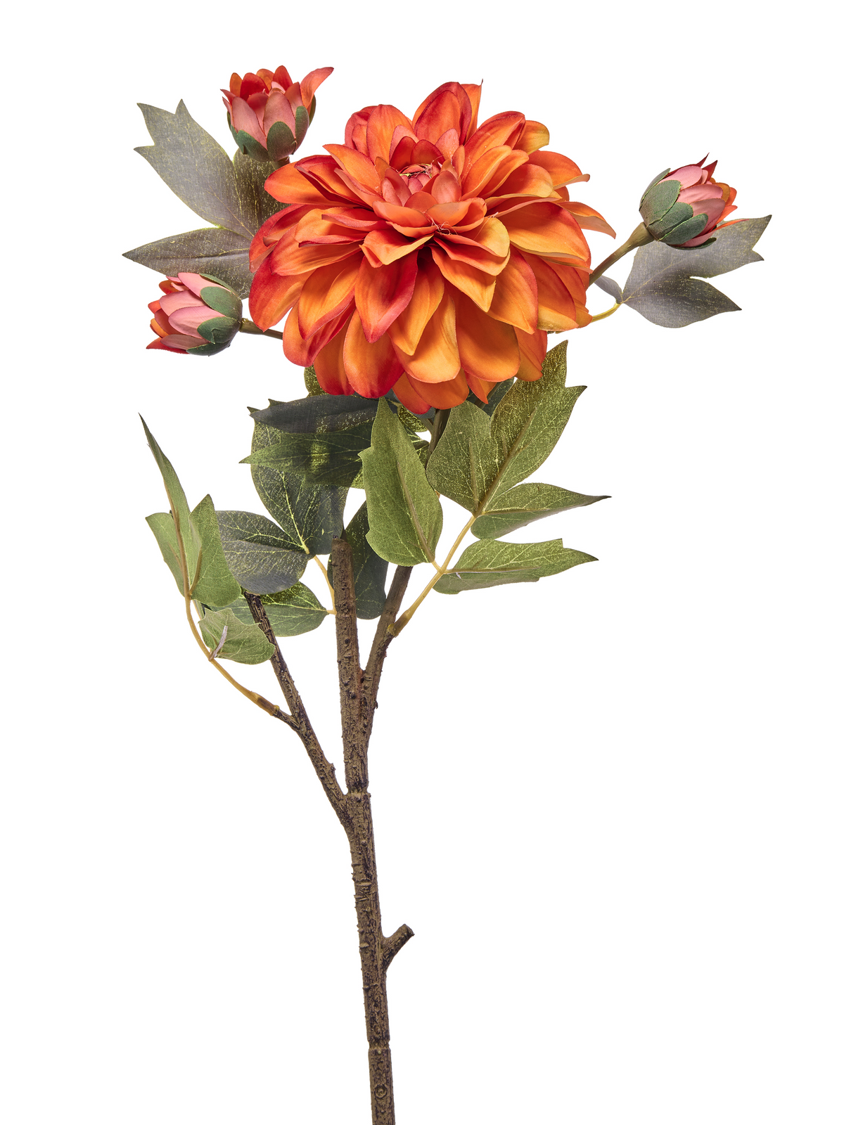22-inch autumn dahlia spray with one large orange bloom, three buds, and green leaves.