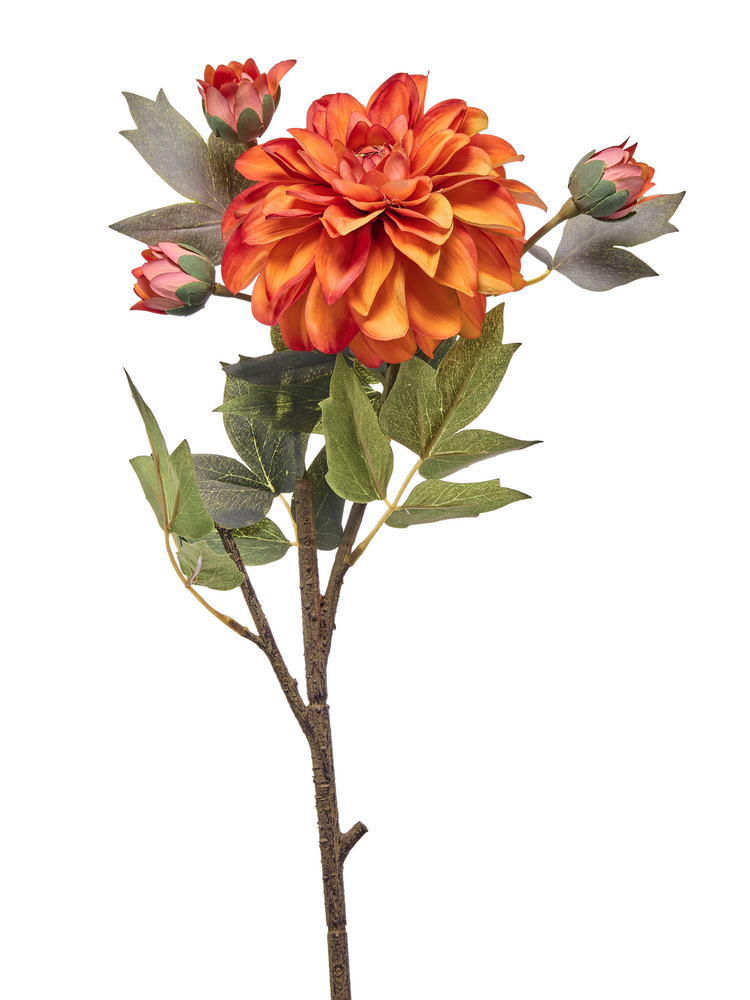 22-inch autumn dahlia spray with one large orange bloom, three buds, and green leaves.