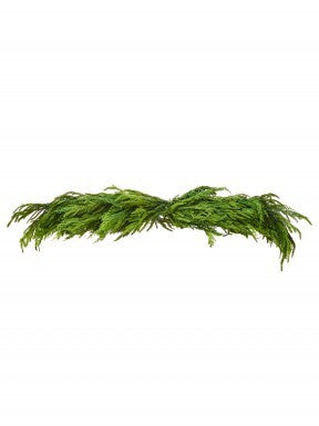 48-inch Real Touch Cedar and Norfolk Pine Swag with lifelike green needles and realistic texture.