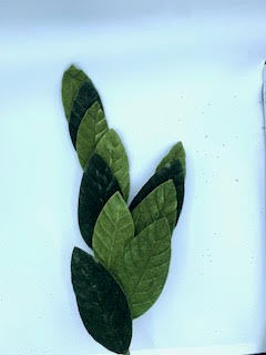 Velvet Magnolia Leaf Spray with five green leaves in varying shades on a white background.