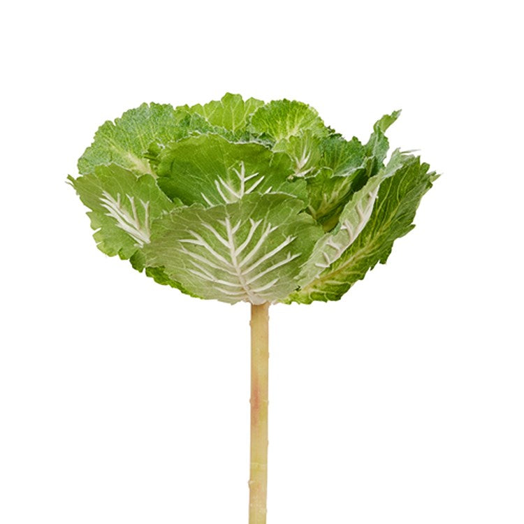 A black polyester cabbage pick with a plastic handle measuring 10 inches long.