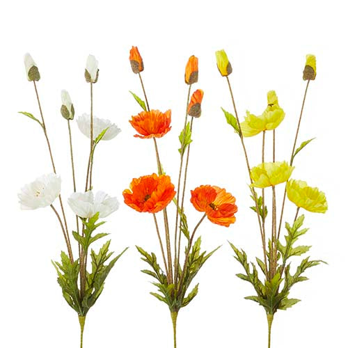 A bouquet featuring a large red poppy flower with green foliage arranged in a natural spray style.