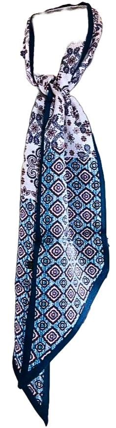 Silk-feel twilly scarf with blue and white geometric and paisley patterns and a dark blue border.