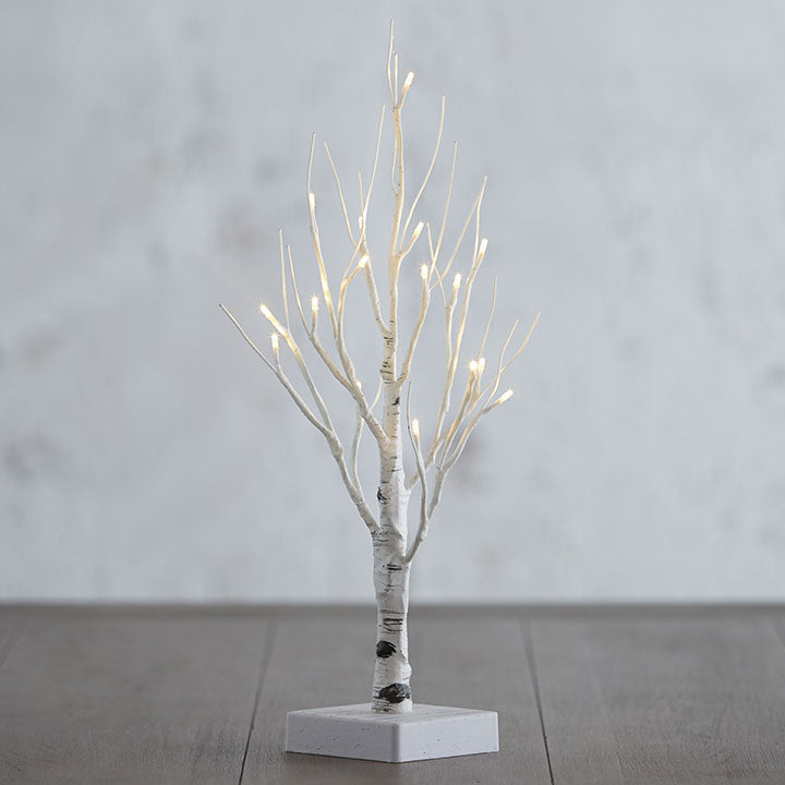 Indoor lighted birch tree with white branches and warm white LED lights on a wire frame.