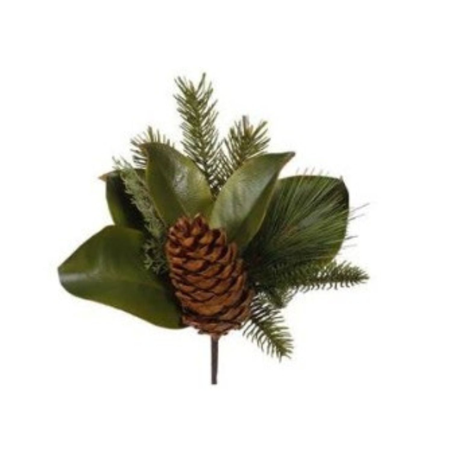 Magnolia leaf pick with pine needles and a brown pinecone centerpiece.