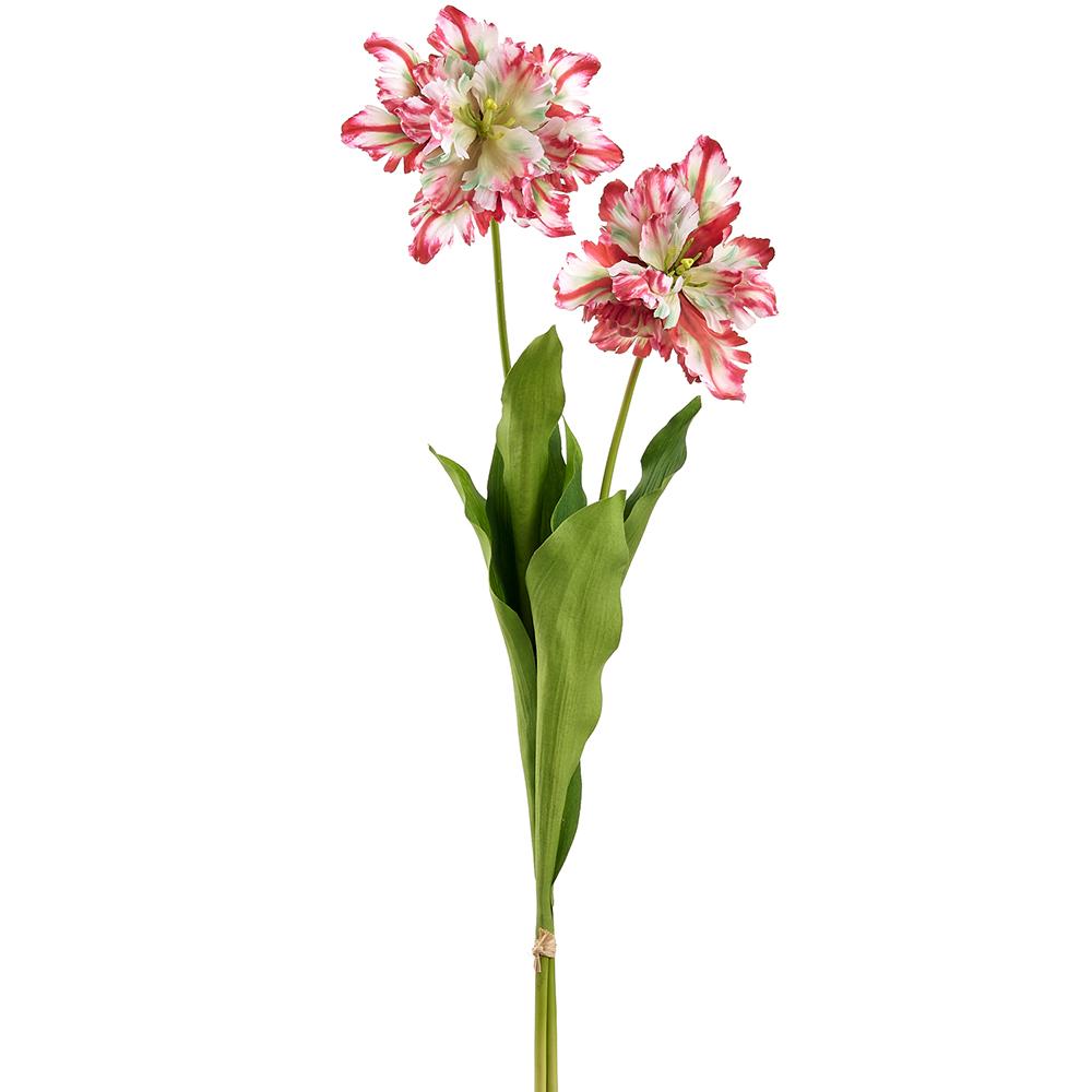 30.5-inch parrot tulip bundle with PVC tube fabric in a natural neutral tone.