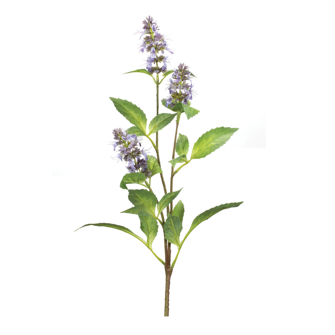29”H  Buddleia Stem