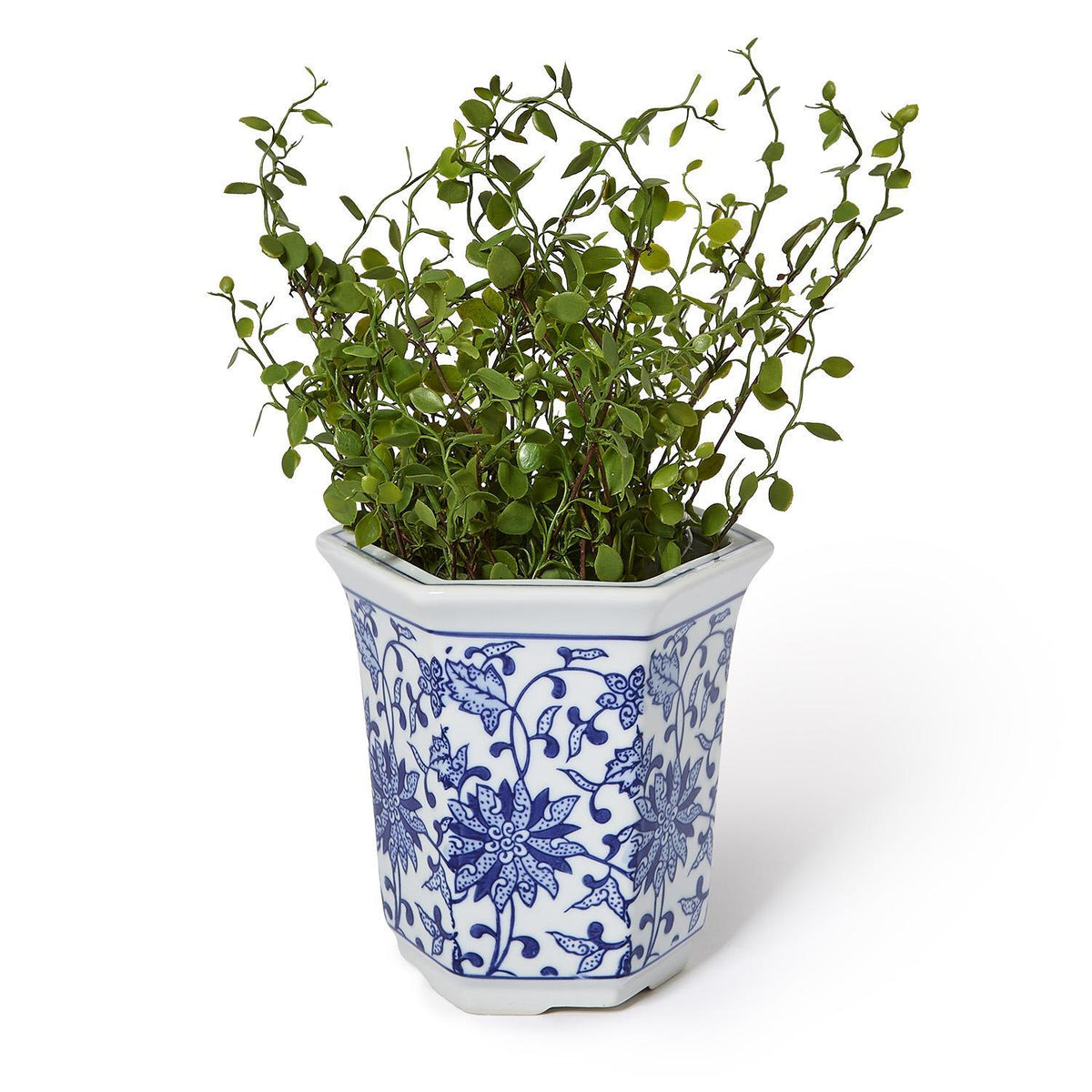 Hand-painted blue and white hexagon ceramic cachepot with green leafy plant inside.