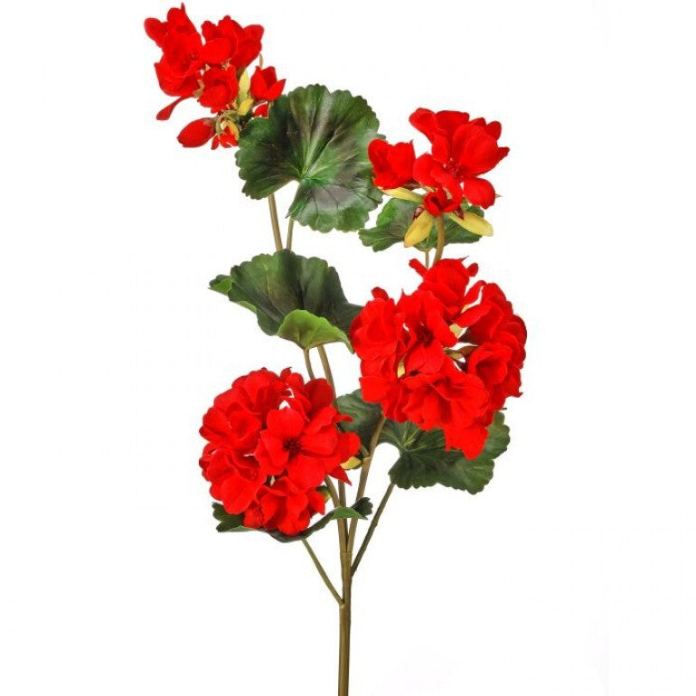 Just Cut Geranium spray with green stems in a clear container