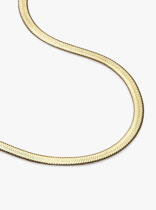 Ina herringbone chain necklace in polished gold with a lobster clasp