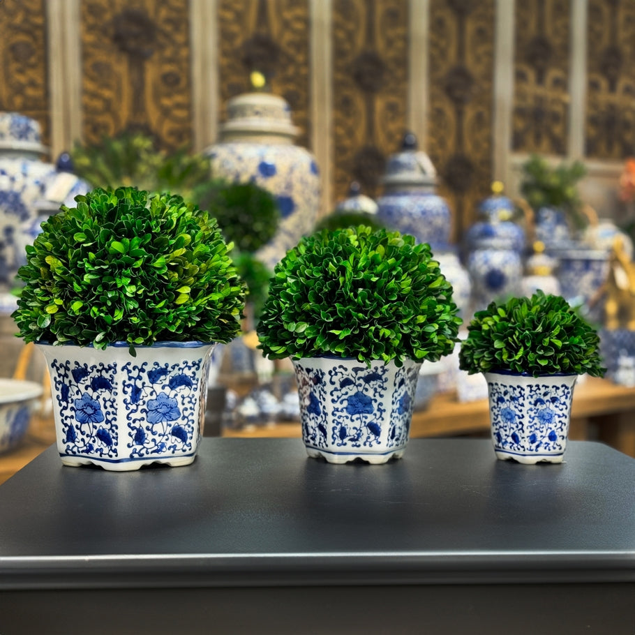 Hexagon blue ceramic pot holding a preserved boxwood ball topiary with white accents.