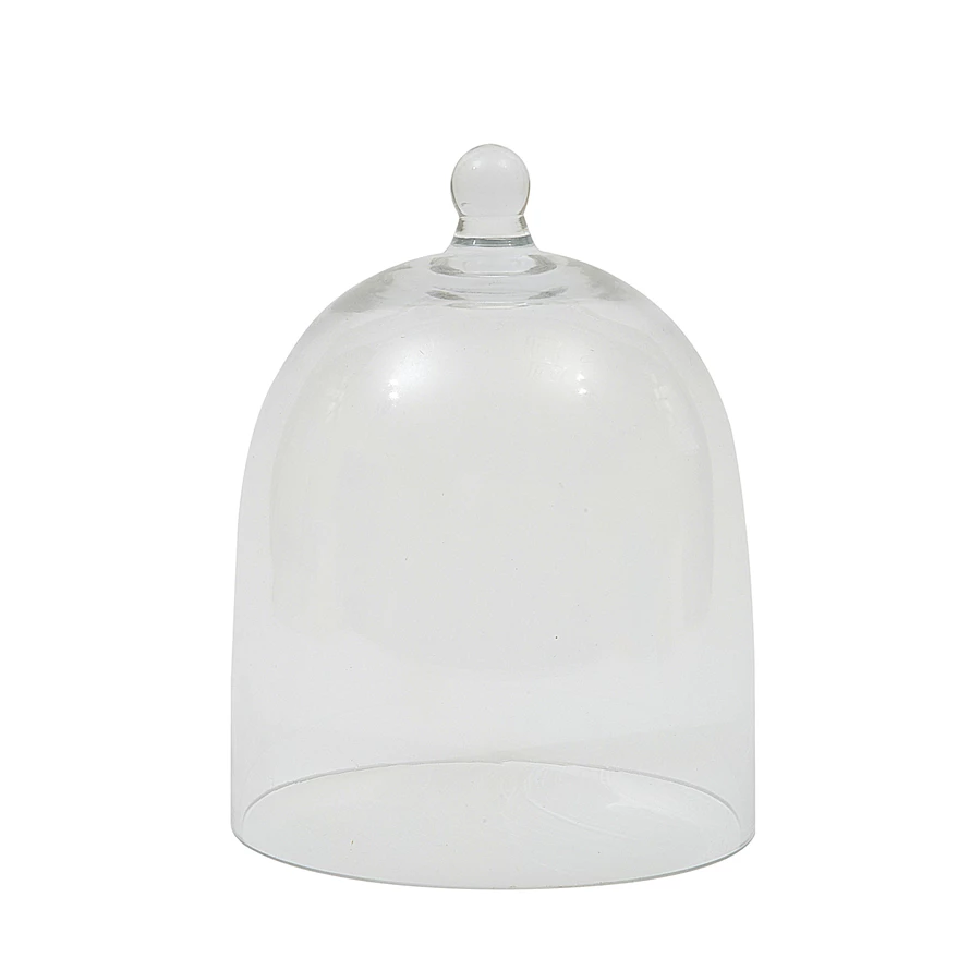 Round glass cloche with a clear dome shape.