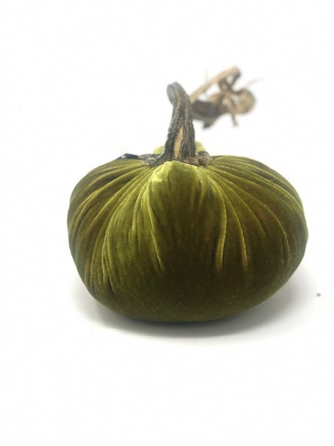 6" Velvet Pumpkin