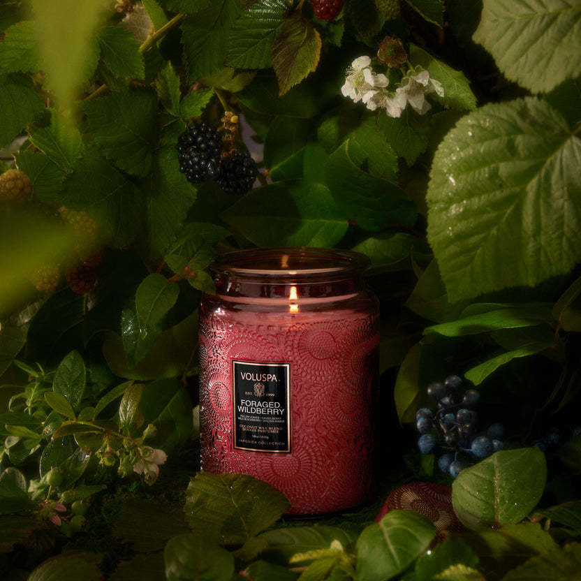 Large glass jar candle with amber wax, natural wick, labeled Foraged Wildberry.