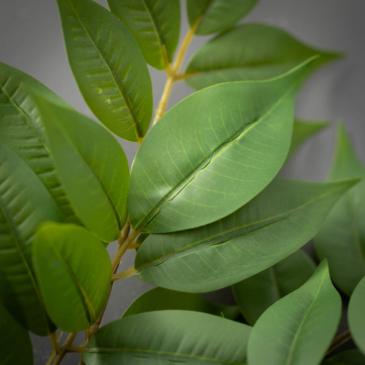 Bold green polyester faux ruscus spray foliage with ultra-realistic detailing in a tall silhouette.