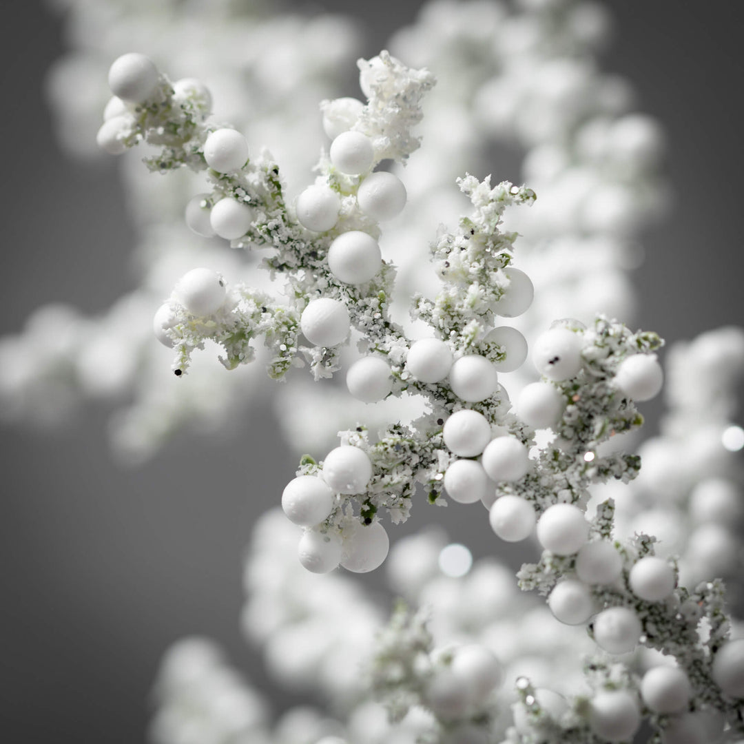 Juniper Berry Spray