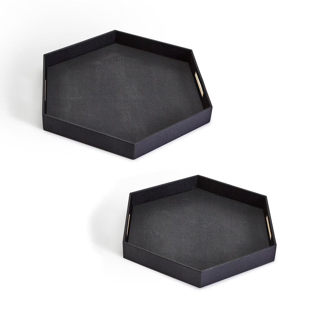 Black Hexagon Stingray Tray with Golden Handle