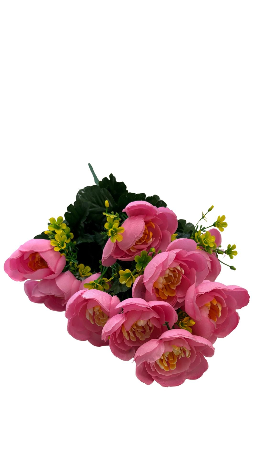 Ranuculus Bush X12 Pink 1/8DZ