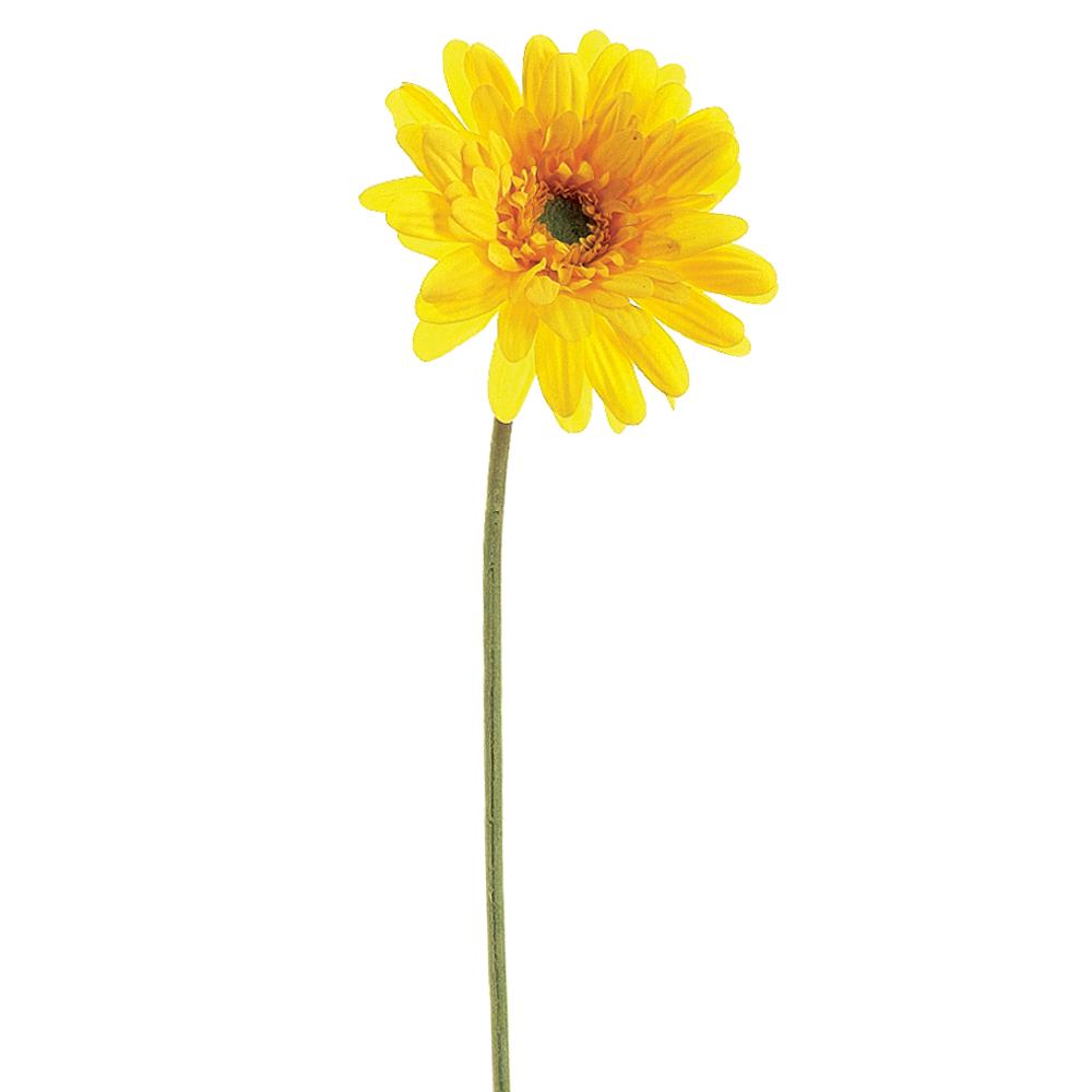 21.5" Medium Gerbera Daisy Spray
