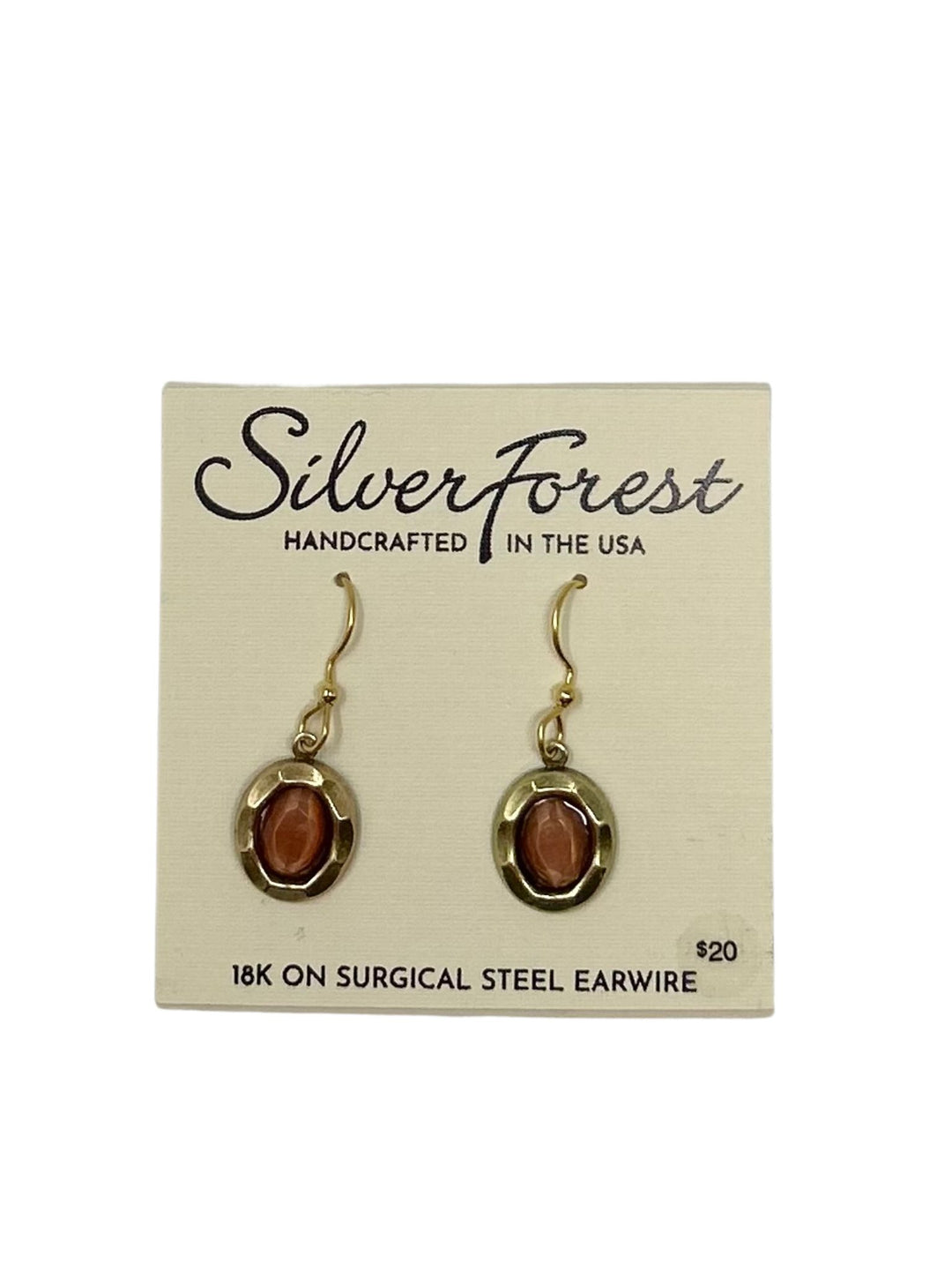 Beveled Frame with Stone Earrings