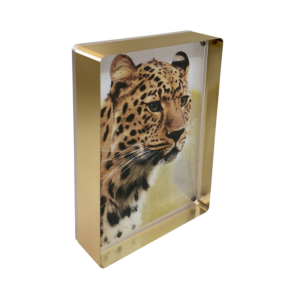 Gold magnetic photo frame with a sleek rectangular shape designed to hold a 5x7 inch photograph.