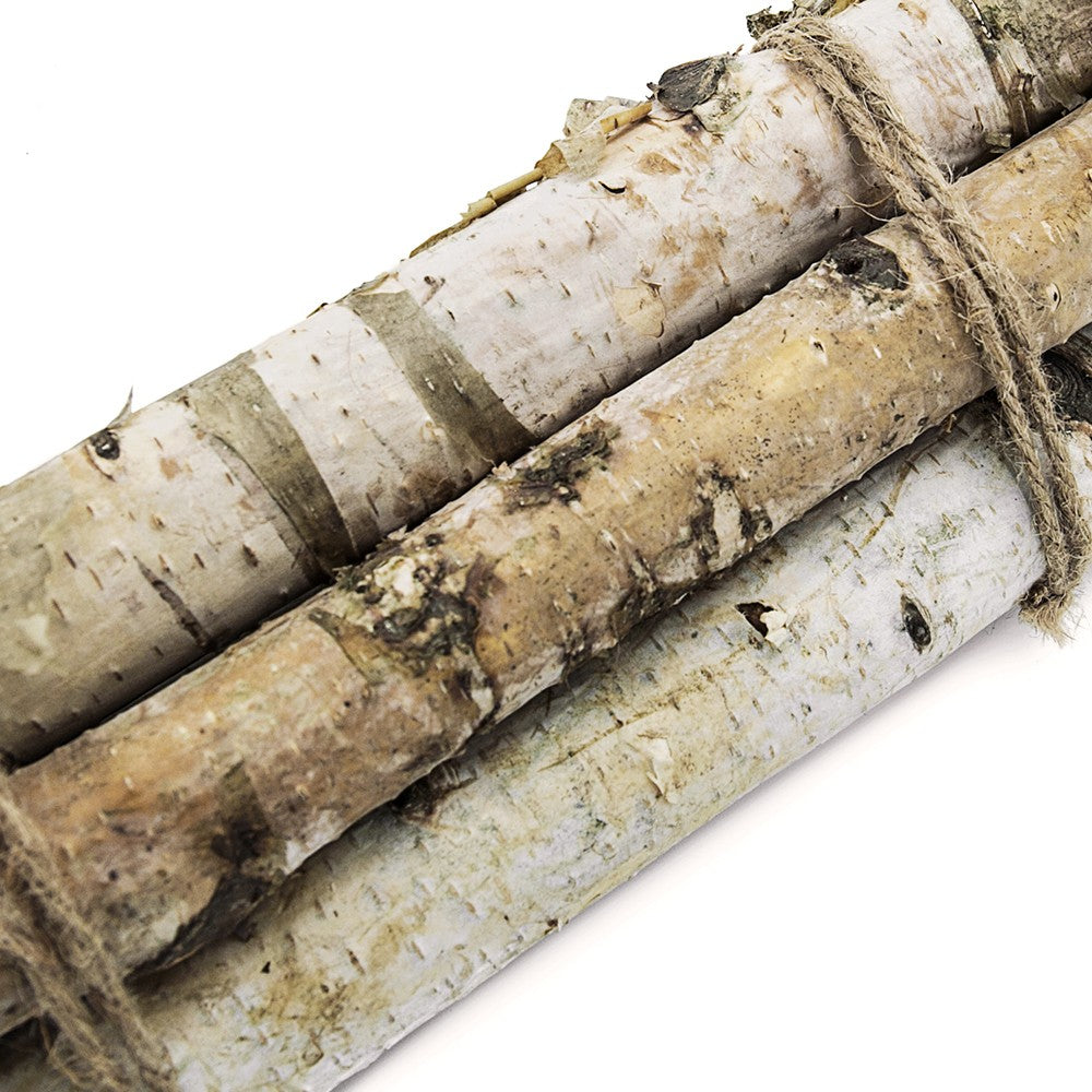 D1.6'' H11.8'' Birch Wood Vase Filler