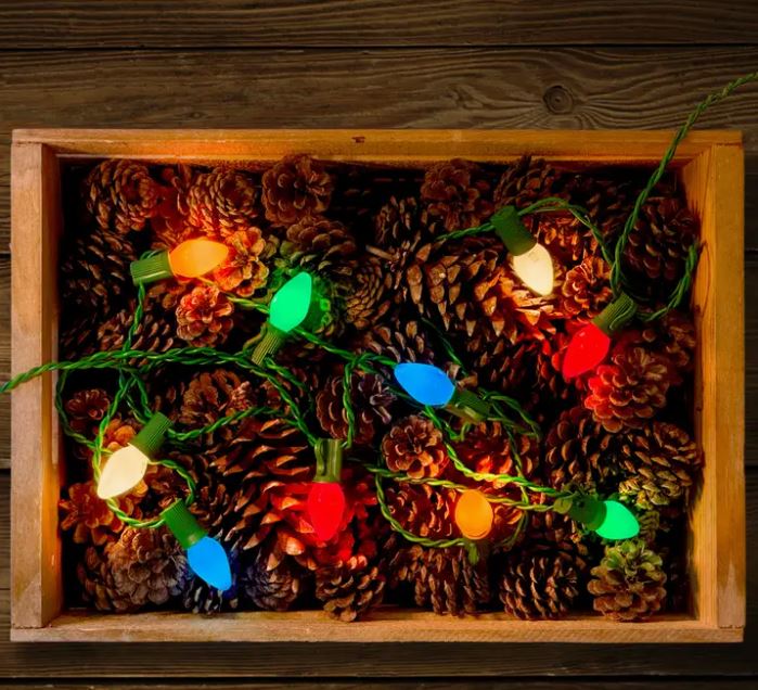 Vintage-style C7 LED Christmas light string with classic bulbs in warm white glow.