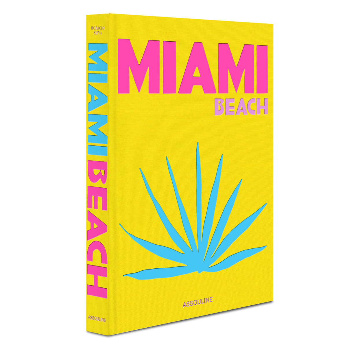 Linen hardcover book titled Miami Beach with a tropical illustration cover.