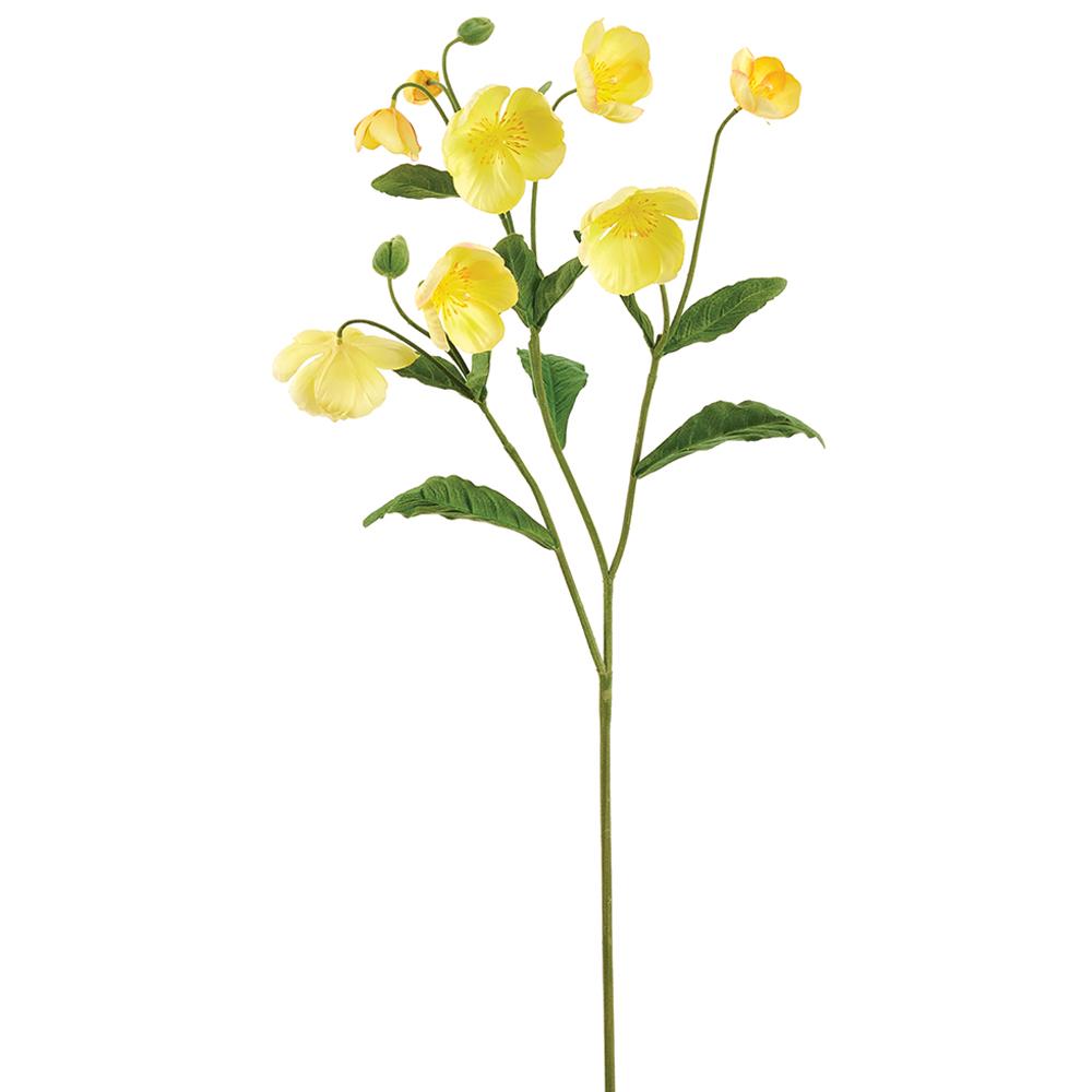 47 Inch Helleborus Spray