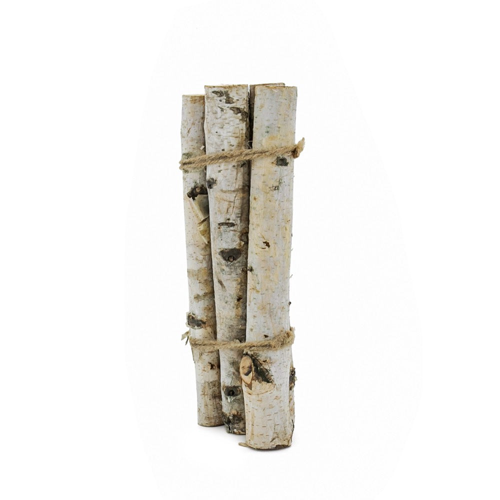 Bundle of three white birch wood logs tied together with twine for vase filler decoration.