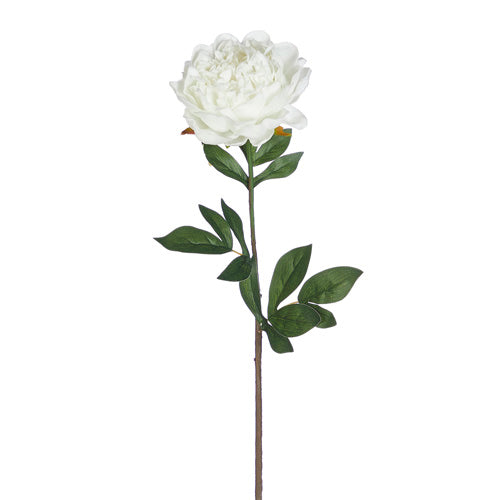 Artificial white peony flower stem with foam core and polyester petals measuring 25 inches tall.