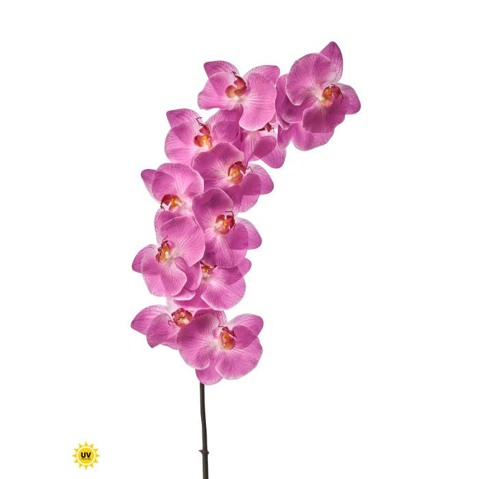 National Touch Phaleanopsis spray wall art measuring 43 inches tall.