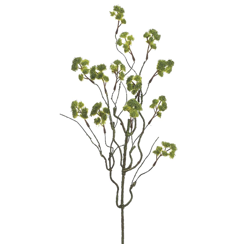 23” Irish Moss Spray Green
