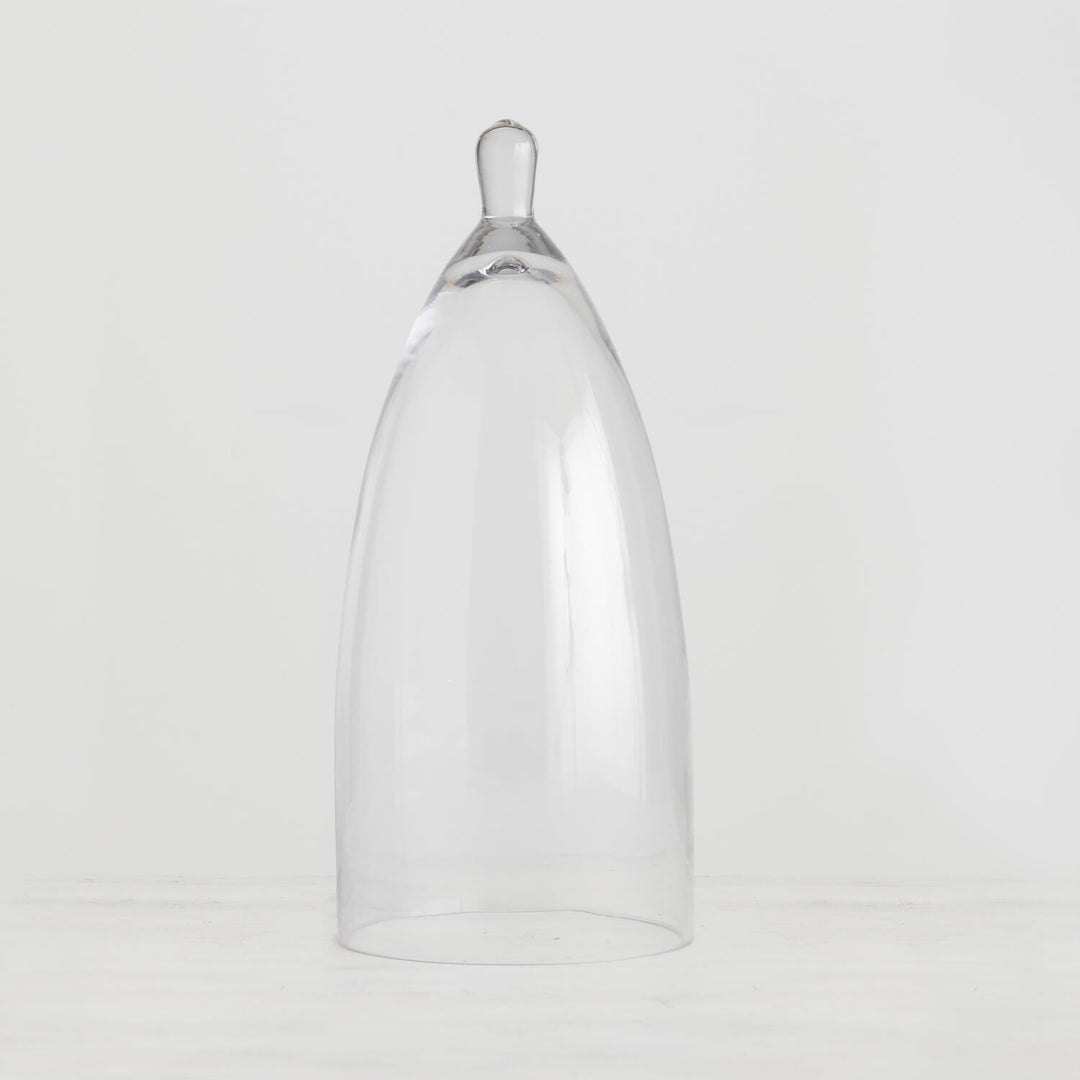 Clear glass cloche with a dome-shaped lid covering an item.