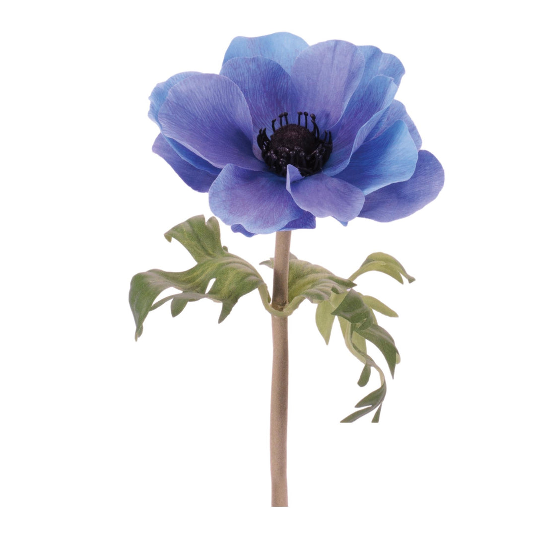 19"H Anemone Stem