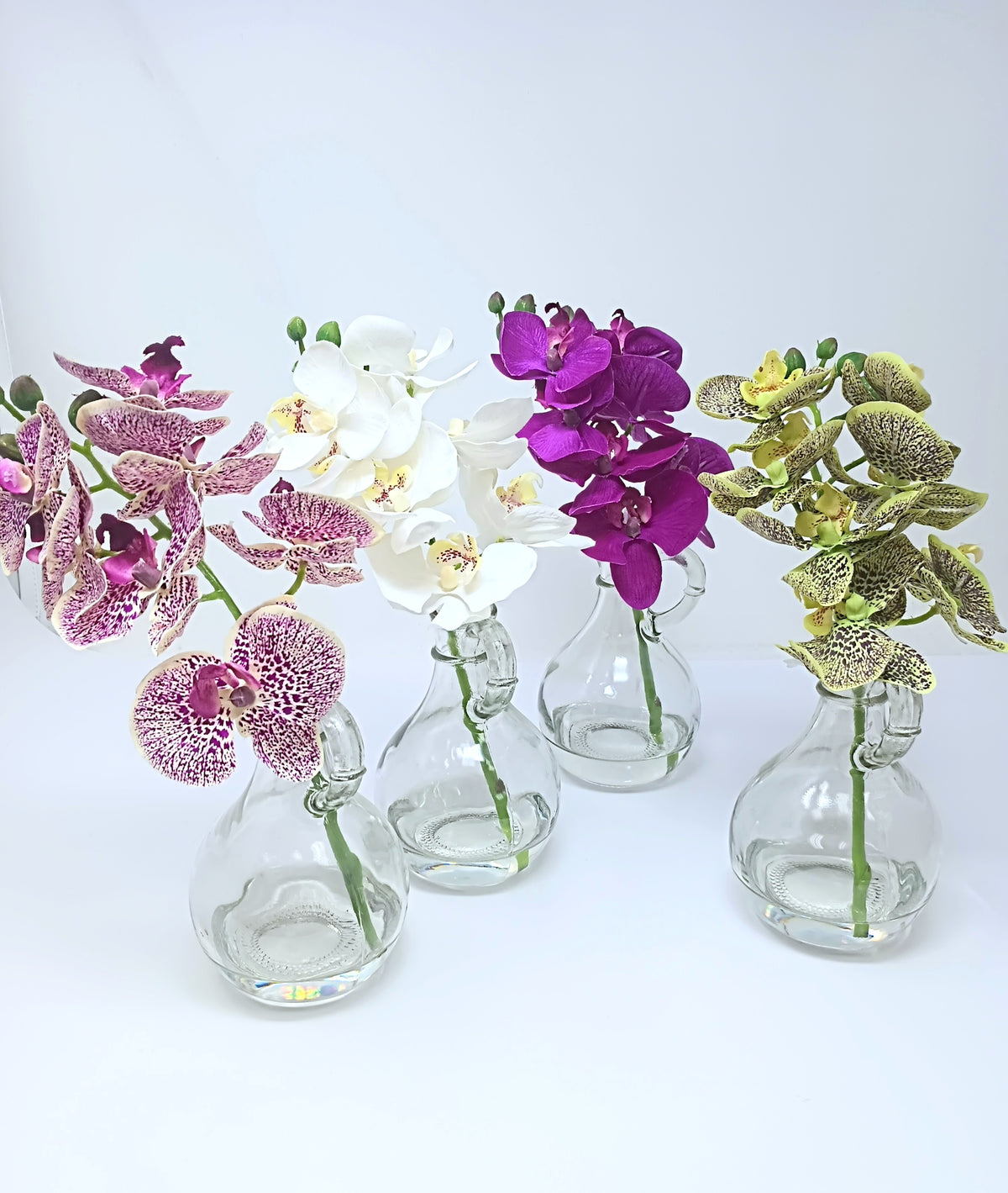 9-inch Phaleanopsis orchid submerged in a clear glass container with handle