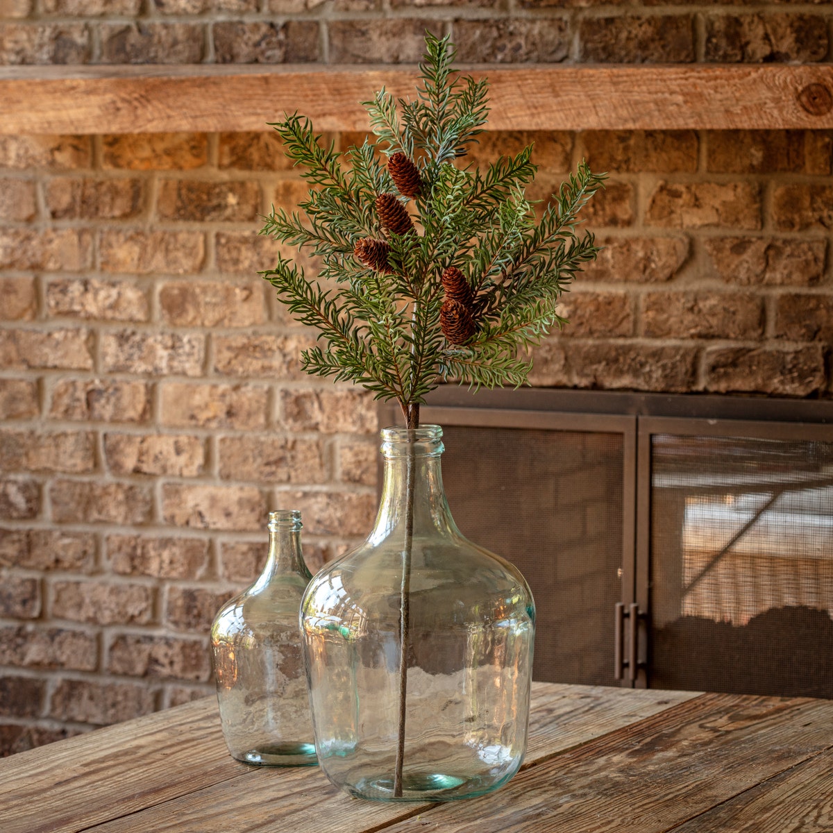 Gray green Douglas fir branch with natural texture