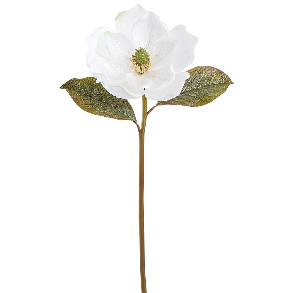 Spray bouquet featuring white magnolia flowers with glitter accents on green stems.