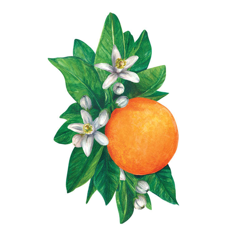 Watercolor table accent featuring an orange fruit, white blossoms, and green leaves.