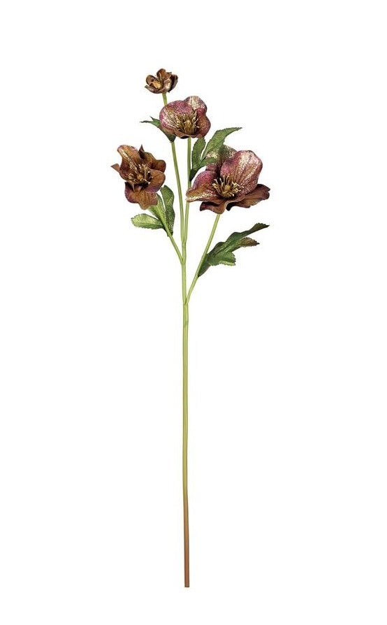 26-inch glitter helleborus spray with dark burgundy and gold shimmer blooms on a green stem.