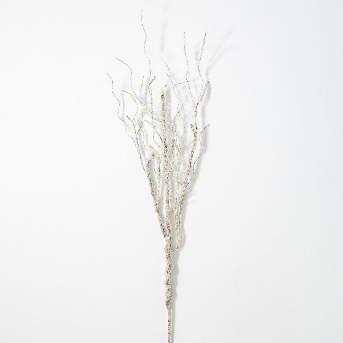 Iced Birch Spray with glittery, frosted branches on a white background.