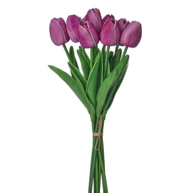 Bundle of three white Eva Dutch tulips in a clear glass vase.