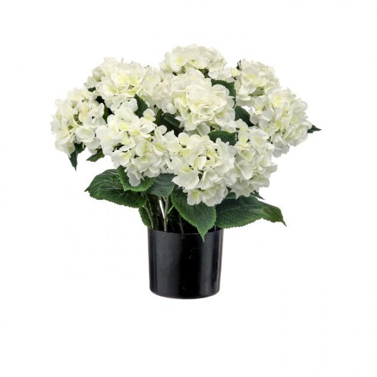22" Potted Garden Hydrangea