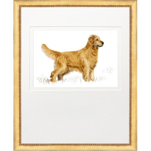 Golden Retriever hunting dog illustration in a gold frame with white matting, 18x22 inches.